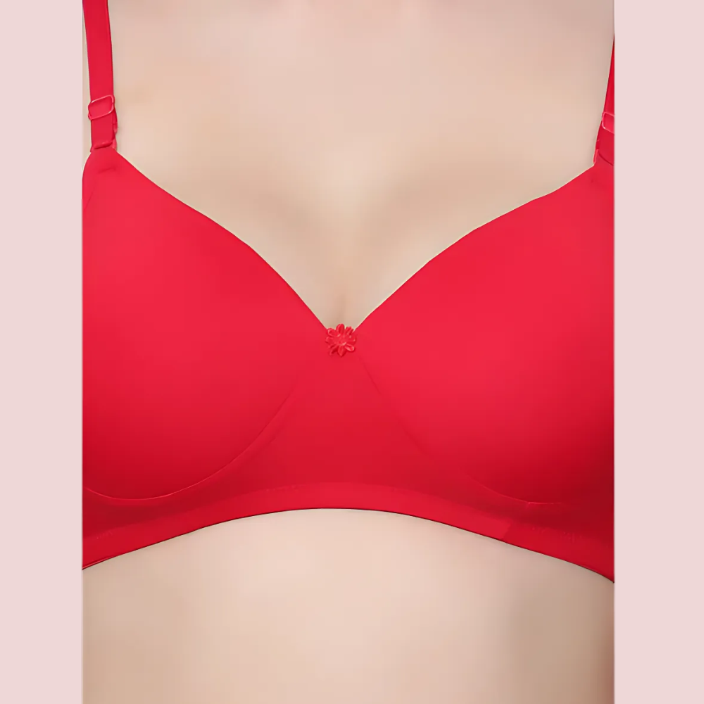 Cloud Soft Non-Wired Padded Bra Pack (Pack Of 4)