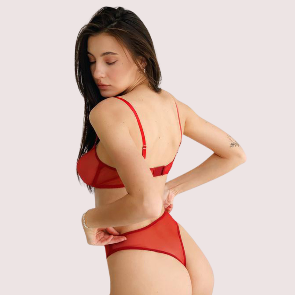 Scarlet Temptation See-Through Lingerie Set-2